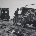 Laughlin_3_0006 (April 22, 2012)